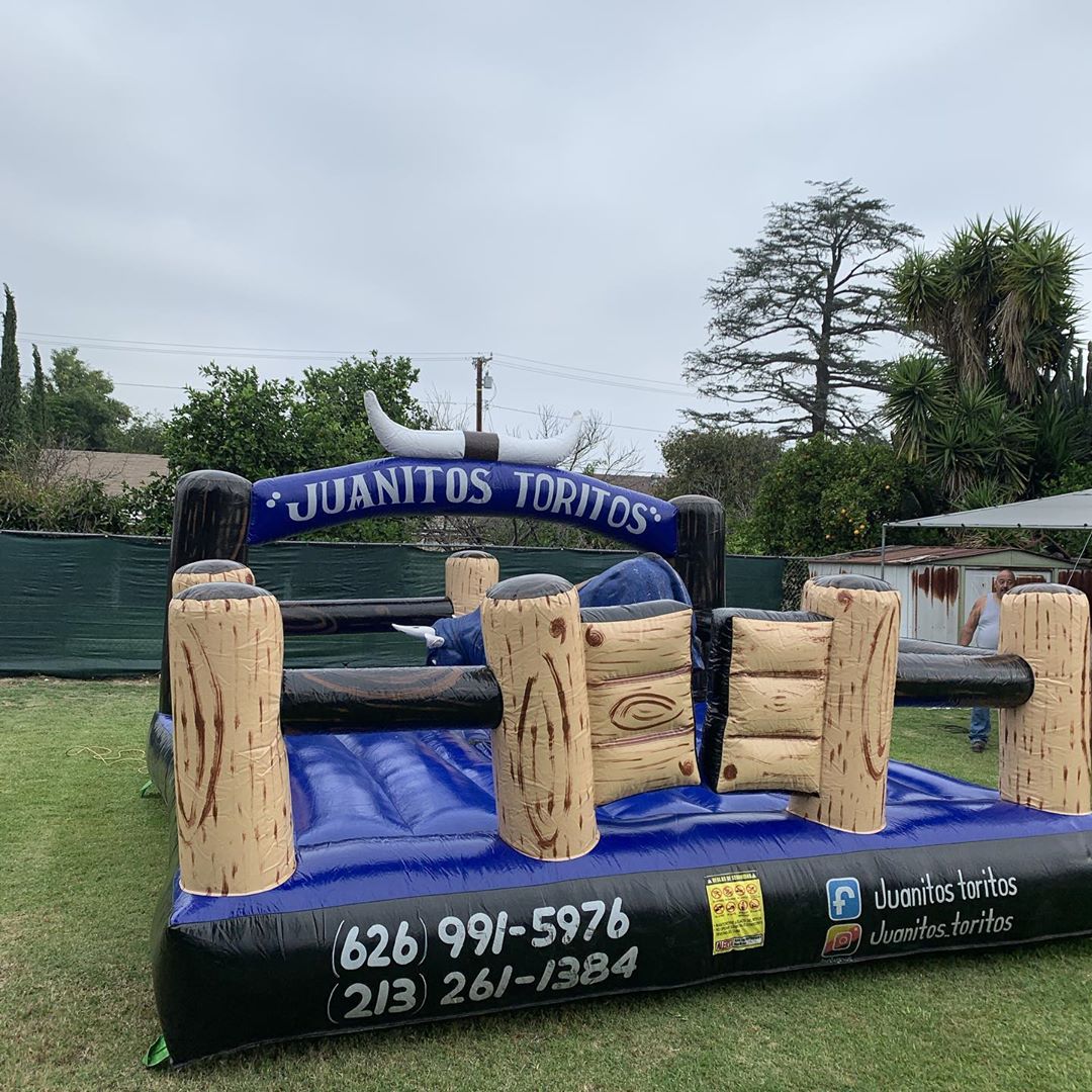 Party Bull Rental